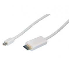 DVI 1